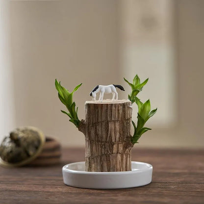 Brazilian Lucky Wood, Mini Home Plant Decorations